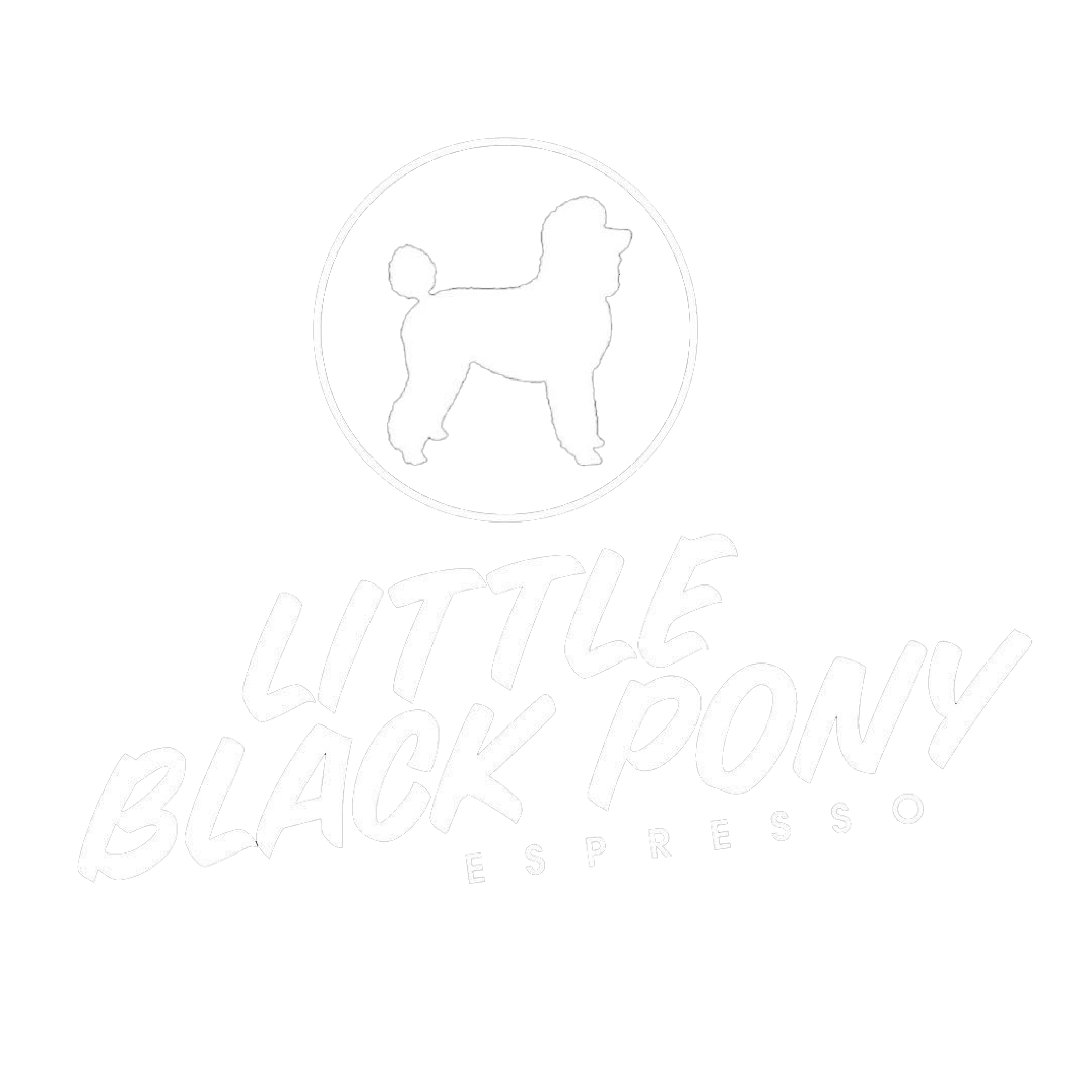 Little Black Pony