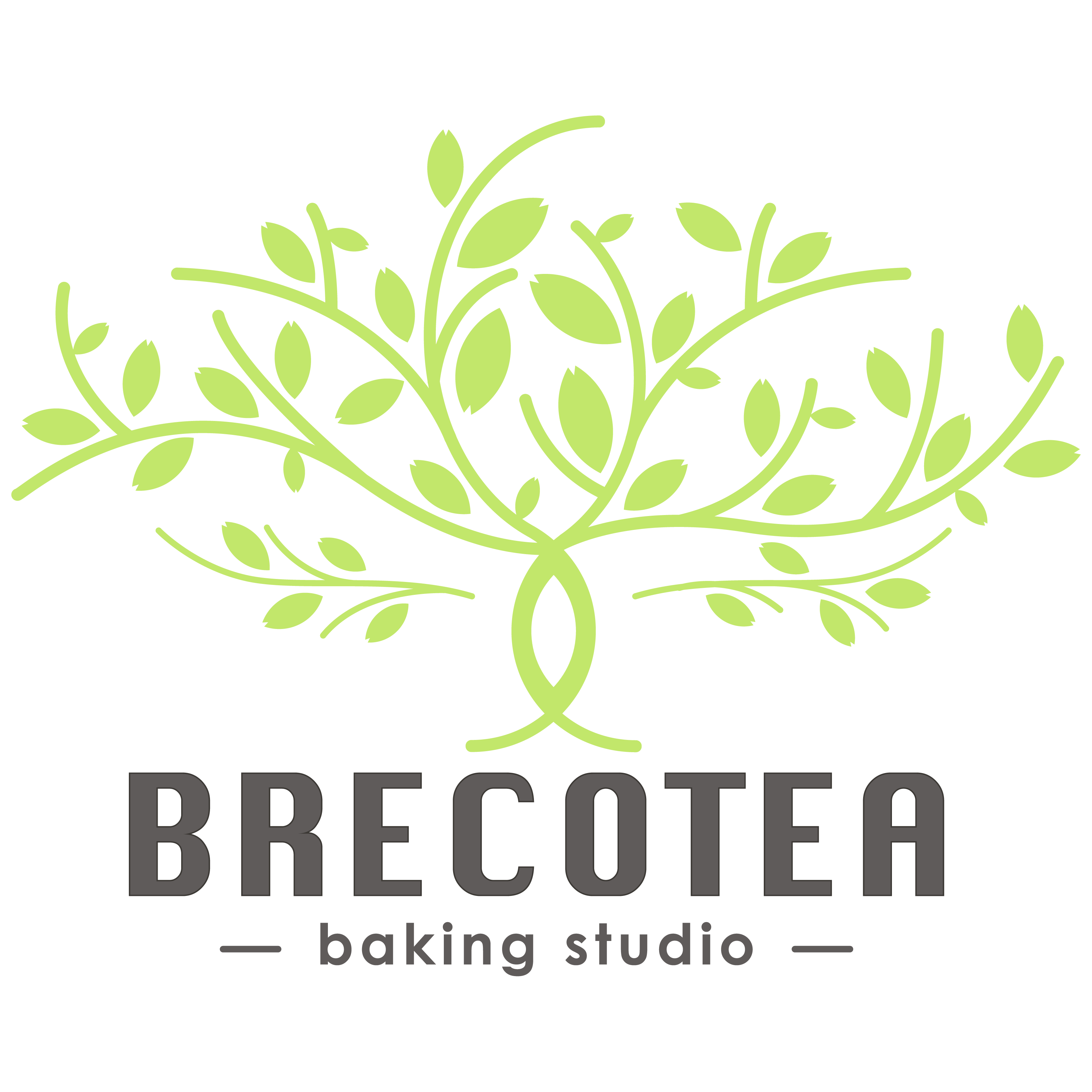 Brecotea