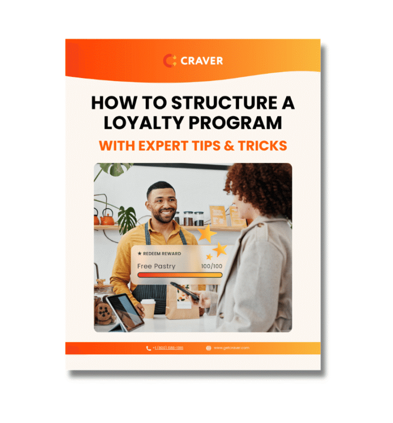 Loyalty Program Structure Guide